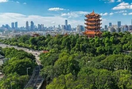 最准足球比分-探秘足球比分预测，真的存在最准之法吗？