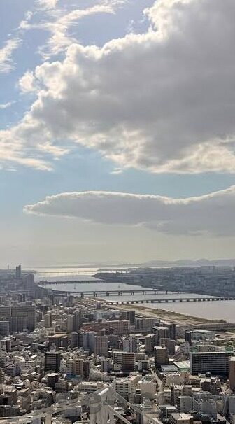 足球都有哪些比分网-足球迷必备指南，深度解析全球主流足球比分网，助你精准掌握赛场动态